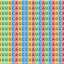 MSA_Step_1 Multiple Sequence Alignment Software Step 1
